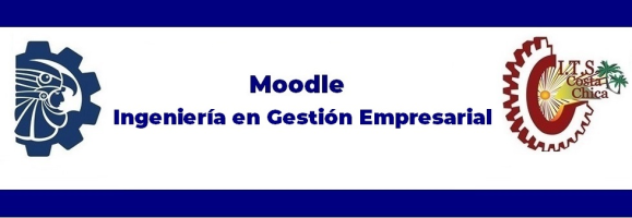 Ingeniería Empresarial